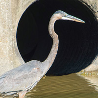 storm-drain-box