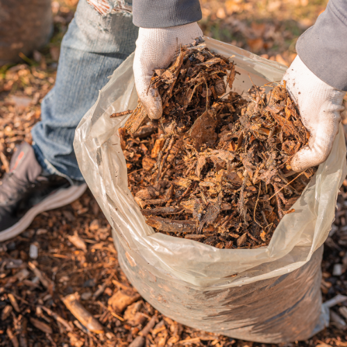 Free Mulch Giveaway for Vista Residents